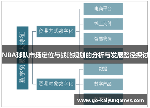 NBA球队市场定位与战略规划的分析与发展路径探讨