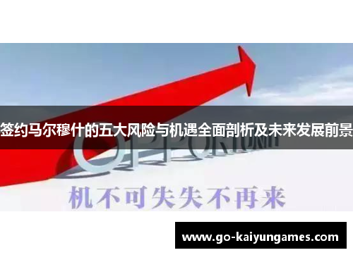 签约马尔穆什的五大风险与机遇全面剖析及未来发展前景