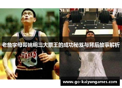 老詹字母哥姚明三大票王的成功秘笈与背后故事解析