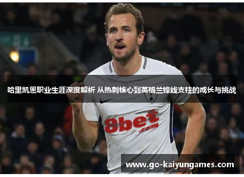 哈里凯恩职业生涯深度解析 从热刺核心到英格兰锋线支柱的成长与挑战